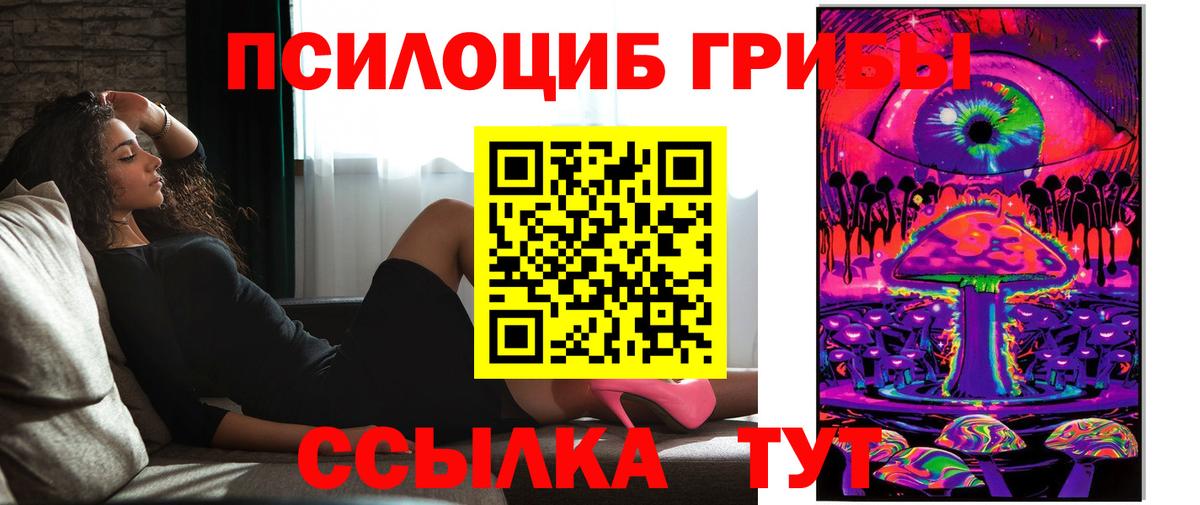 Псилоцибиновые грибы Psilocybe Севастополь